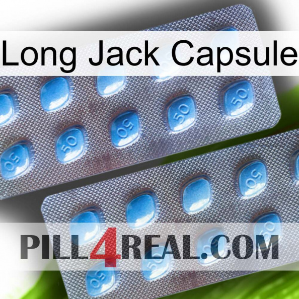 Long Jack Capsule viagra4.jpg